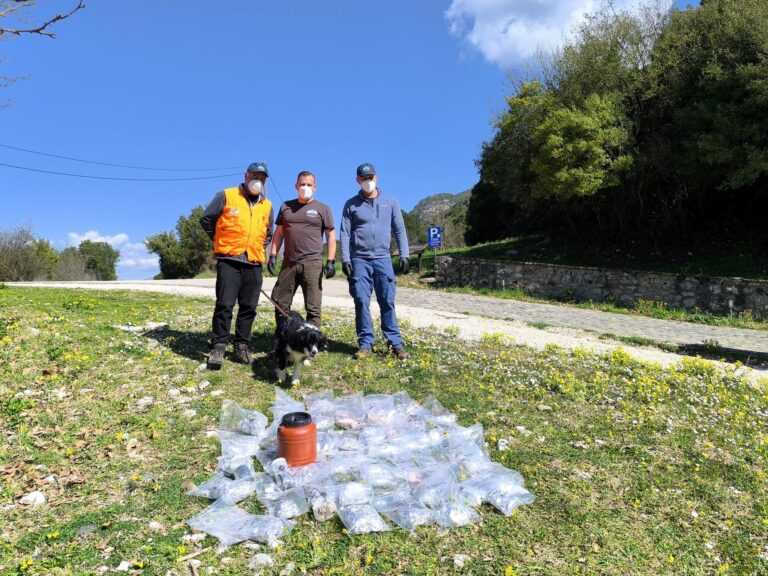 Γράμμος: 157 δηλητηριασμένα δολώματα σε Natura 2000 — Το μεγαλύτερο περιβαλλοντικό έγκλημα στη Βόρεια Πίνδο