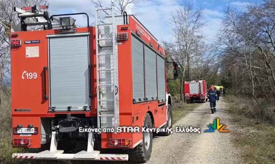 Τραγωδία στη Φθιώτιδα: Νεκρός 68χρονος την ώρα που έκοβε ξύλα - Τον καταπλάκωσε δέντρο