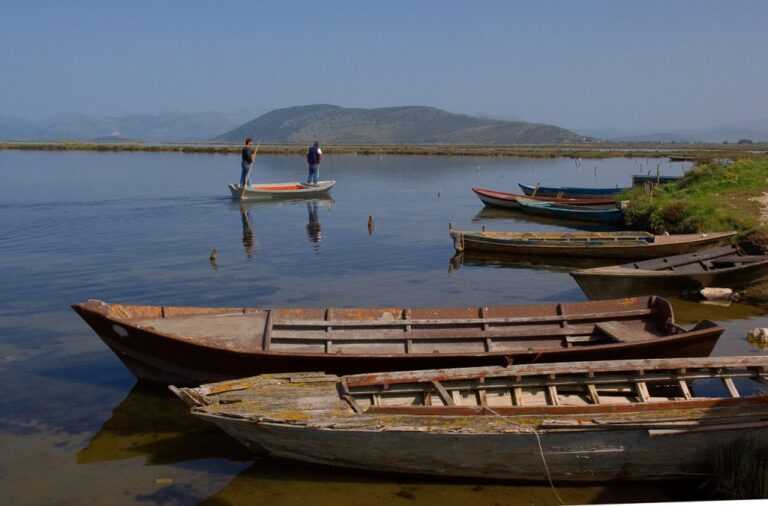Αμβρακικός: Οι ψαράδες μετρούν απώλειες – 50% λιγότερα αλιεύματα κάθε χρόνο
